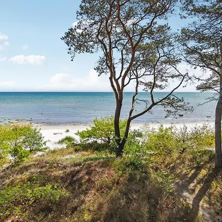 Cozy In With Kitchen * Nexø