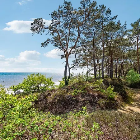 Cozy In With Kitchen
